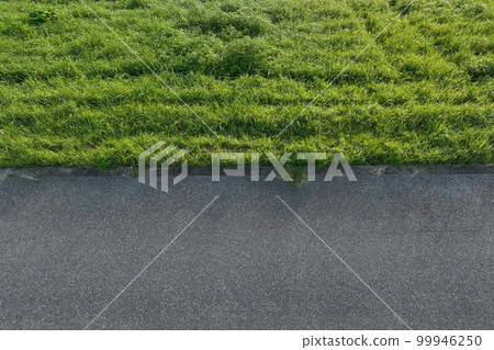 Top view of trail in green grass Top view of trail in green grass 99946250