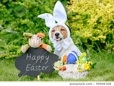 Easter greeting with three bunnies, basket of dyed eggs and blackboard 99946306