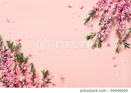 Beautiful flowering branches of almonds on a pink background. Floral festive frame 99946680