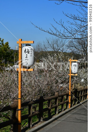 Souri Pond Plum Forest in winter Souri Pond Plum Forest in winter 99948316