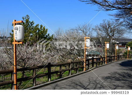 Souri Pond Plum Forest in winter Souri Pond Plum Forest in winter 99948319