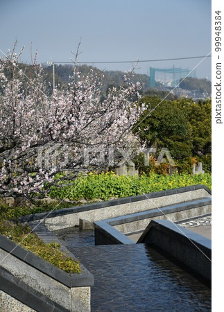 冬季蘇里池塘梅花森林 冬季蘇里池塘梅花森林 99948384