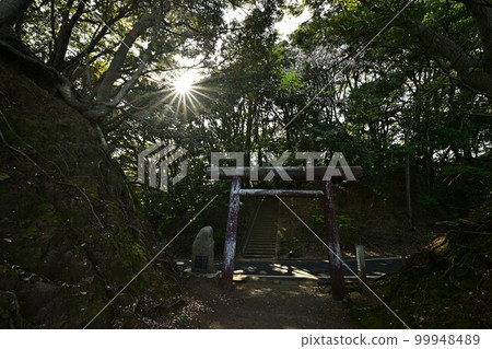 From Niizaki Shrine From Niizaki Shrine 99948489