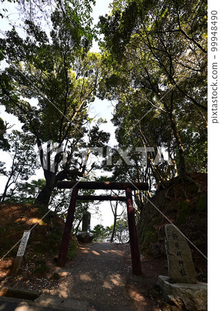 From Niizaki Shrine From Niizaki Shrine 99948490