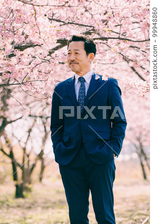 盛開的櫻花和西裝革履的老人 99948860