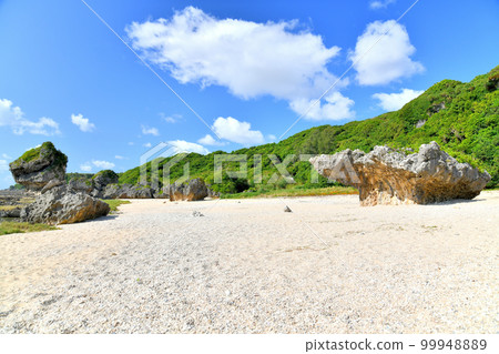 Gushigashirahama / Gushichan 海灘（沖繩縣八瀨町）[2023 年 3 月] 99948889