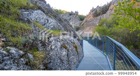 Gorge of La Yecla, Burgos, Spain 99948954
