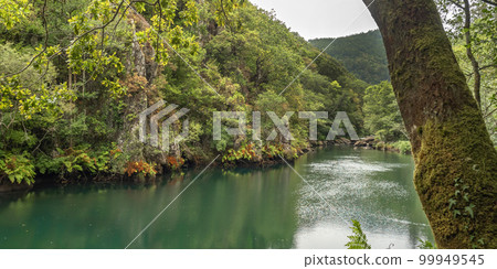 Fragas do Eume Natural Park, Pontedeume, Spain 99949545