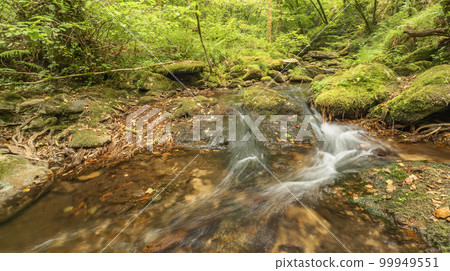 Fragas do Eume Natural Park, Pontedeume, Spain 99949551