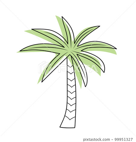 Palm tree isolated on white background. 99951327