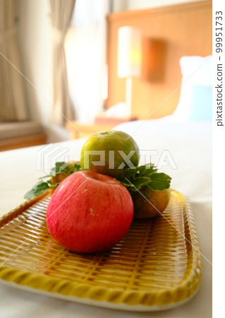 Resort Hotel Resort Hotel 99951733