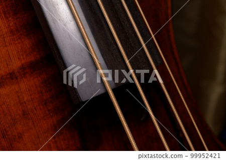 strings and the fingerboard of a double bass 99952421