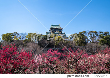 梅林(大阪城公園) 梅林(大阪城公園) 99953033