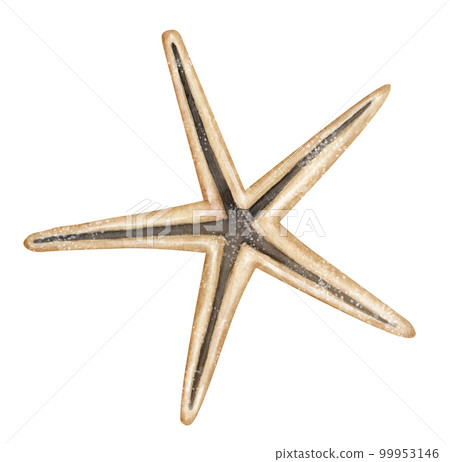 Golden Star Hand Painted Collection Isolated Stock Illustration