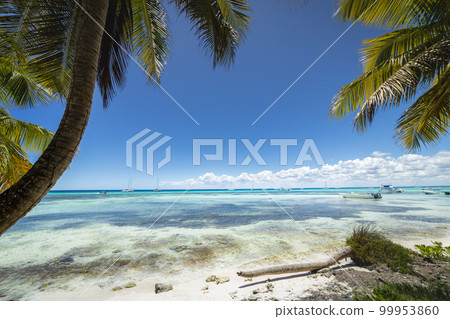 Boats and tropical beach in caribbean sea, Saona island, Dominican Republic Boats and tropical beach in caribbean sea, Saona island, Dominican Republic 99953860