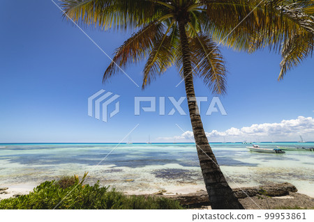 Boats and tropical beach in caribbean sea, Saona island, Dominican Republic 99953861