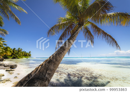 Boats and tropical beach in caribbean sea, Saona island, Dominican Republic Boats and tropical beach in caribbean sea, Saona island, Dominican Republic 99953863