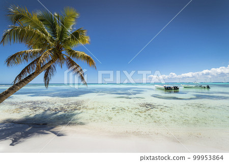 Boats and tropical beach in caribbean sea, Saona island, Dominican Republic 99953864