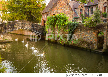 Architecture of idyllic Bruges with canal and swans floating in a row, Flanders, Belgium Architecture of idyllic Bruges with canal and swans floating in a row, Flanders, Belgium 99953865
