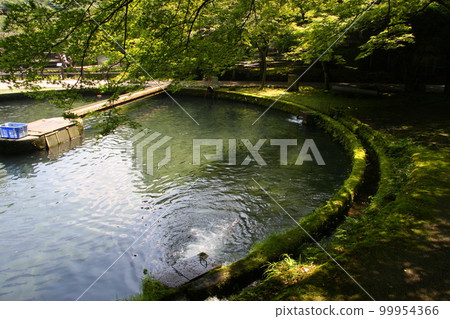 日本最古老的鱒魚養殖場——鮫街鱒魚養殖場（1878 年設立） 99954366