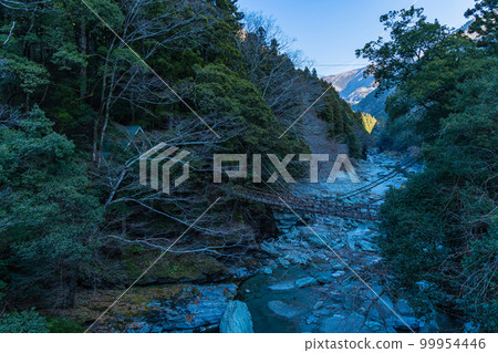 使用日本德島縣三好市西祖谷山村的白葡萄樹建造的祖谷葛樂橋 99954446