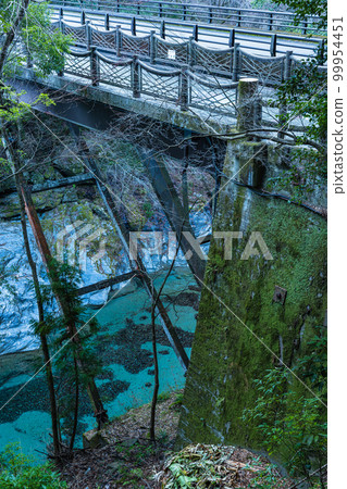 使用日本德島縣三好市西祖谷山村的白葡萄樹建造的祖谷葛樂橋 99954451