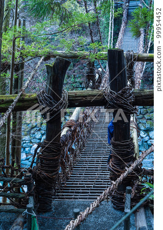 使用日本德島縣三好市西祖谷山村的白葡萄樹建造的祖谷葛樂橋 使用日本德島縣三好市西祖谷山村的白葡萄樹建造的祖谷葛樂橋 99954452