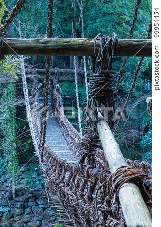 使用日本德島縣三好市西祖谷山村的白葡萄樹建造的祖谷葛樂橋 使用日本德島縣三好市西祖谷山村的白葡萄樹建造的祖谷葛樂橋 99954454