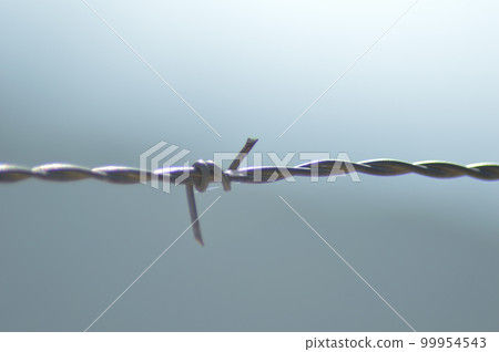 Wire fence with thorn 99954543