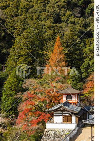 日本大阪府箕面市箕面公園滝庵寺的接待大廳和秋葉 99954780