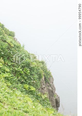Cliff scenery from Cape Kiritappu 99954790