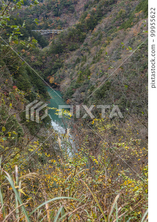 從日本靜岡縣灰原郡川根本町的關之澤展望台看到的被秋葉環繞的大井川 99955622