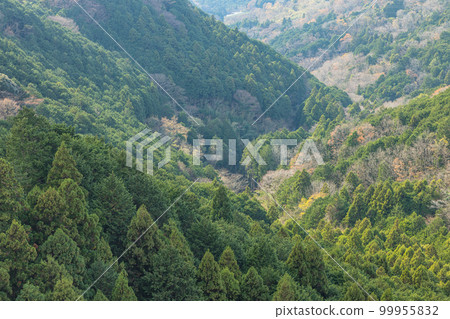 從日本靜岡縣三島市的三島天空步道看到的風景 99955832