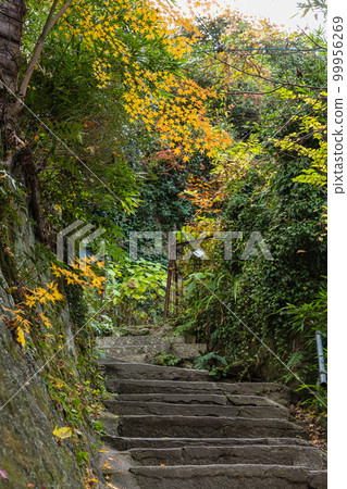 Neko no Hosomichi, Onomichi City, Hiroshima Prefecture, Japan Neko no Hosomichi, Onomichi City, Hiroshima Prefecture, Japan 99956269
