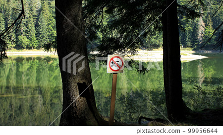 Swimming prohibited plate on a wooden peg near a forest pond Swimming prohibited plate on a wooden peg near a forest pond 99956644