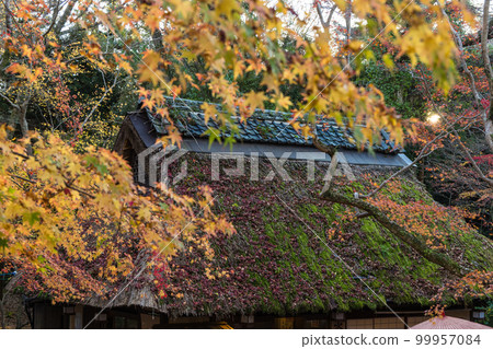 日本奈良縣奈良市的 Kasugano Momiji no Sato 有茅草屋頂和秋葉的 Mizutani Chaya 日本奈良縣奈良市的 Kasugano Momiji no Sato 有茅草屋頂和秋葉的 Mizutani Chaya 99957084