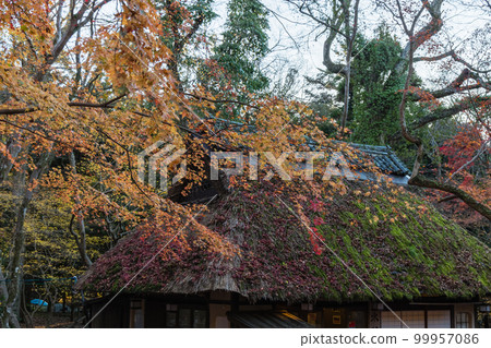 日本奈良縣奈良市的 Kasugano Momiji no Sato 有茅草屋頂和秋葉的 Mizutani Chaya 日本奈良縣奈良市的 Kasugano Momiji no Sato 有茅草屋頂和秋葉的 Mizutani Chaya 99957086