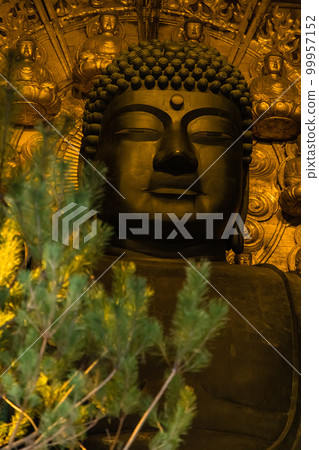 日本奈良縣奈良市奈良公園東大寺大佛殿內的盧舍那大佛 99957152