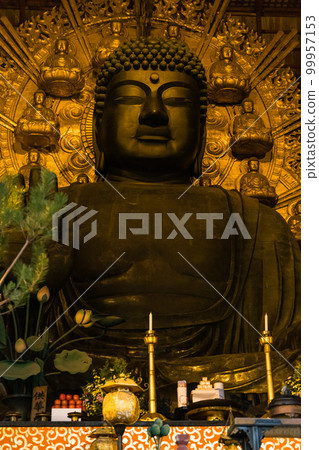 日本奈良縣奈良市奈良公園東大寺大佛殿內的盧舍那大佛 99957153