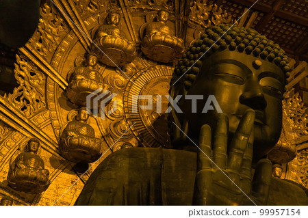 日本奈良縣奈良市奈良公園東大寺大佛殿內的盧舍那大佛 99957154