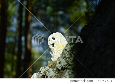 A smiling toy ghost peeks out from behind the bark of a tree in the forest A smiling toy ghost peeks out from behind the bark of a tree in the forest 99957594