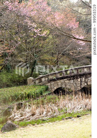 Snap Photo: Hokuso Hananooka Park Take a walk in the spring breeze Snap Photo: Hokuso Hananooka Park Take a walk in the spring breeze 99958319