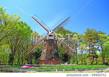 名古屋市名城公園荷蘭風車風景 99960552
