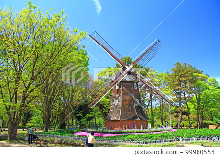 名古屋市名城公園荷蘭風車風景 99960553