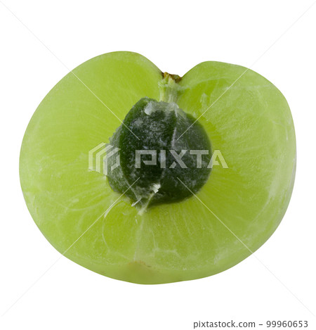 Emblic or Indian gooseberry isolated on a white background Emblic or Indian gooseberry isolated on a white background 99960653