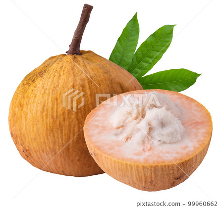 santol fruit and santol ( meliaceae ) isolated on a white background 99960662