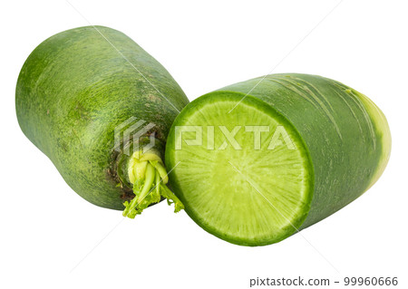 Green radish isolated on a white background Green radish isolated on a white background 99960666