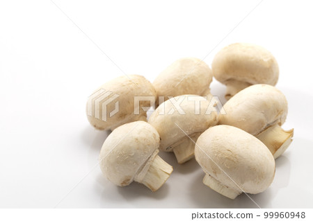 white back white mushroom white back white mushroom 99960948