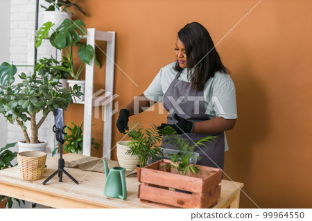 African american florist blogger filming tutorial video about transplanting plants in home garden. Make video vlog with mobile phone African american florist blogger filming tutorial video about transplanting plants in home garden. Make video vlog with mobile phone 99964550