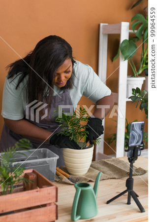African american florist blogger filming tutorial video about transplanting plants in home garden. Make video vlog with mobile phone African american florist blogger filming tutorial video about transplanting plants in home garden. Make video vlog with mobile phone 99964559